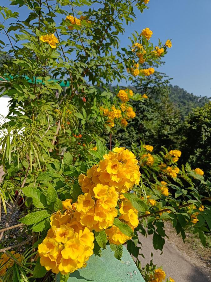 Nature Villa Rishīkesh Εξωτερικό φωτογραφία