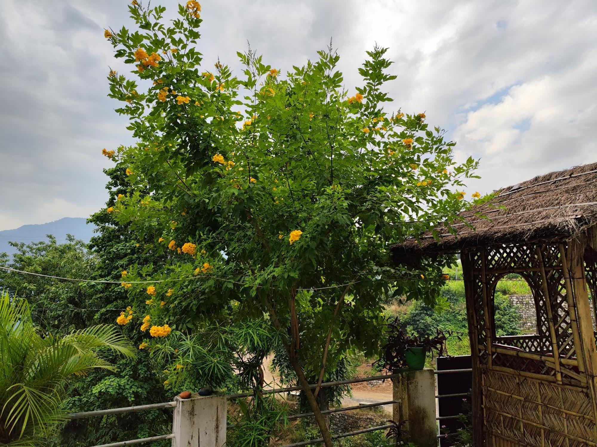 Nature Villa Rishīkesh Εξωτερικό φωτογραφία